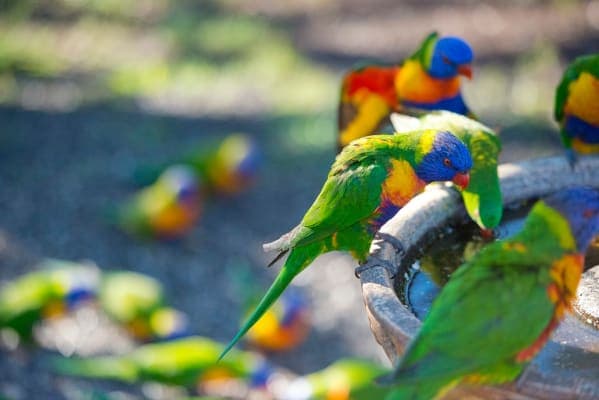 Anglicare Southern Queensland Symes Thorpe Home for the Aged