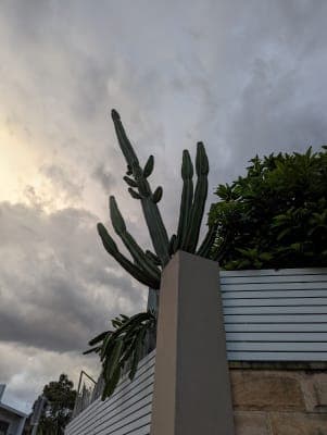 St Charbel's Care Centre Ltd