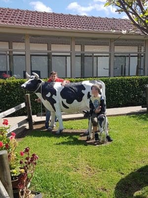 Cardinal Stepinac Village