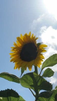 Coffs Haven Residential Care Service