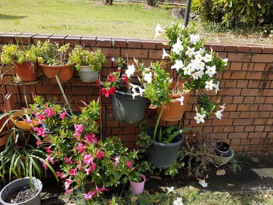 Sundale Rod Voller Care Centre