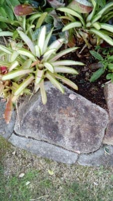 Peninsula Palms Retirement Village