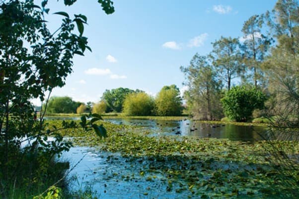 Calvary Cessnock Retirement Community