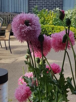 Kellock Lodge Alexandra Inc