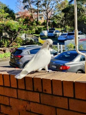 Alexander Campbell House