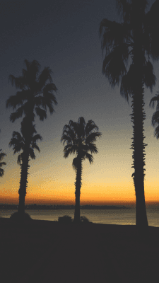 Advantaged Care at Barden Lodge