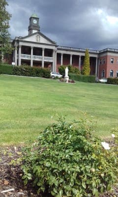 Guilford Young Grove