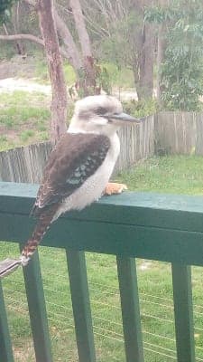 Nareeba Moopi Moopi Pa Aged Care Hostel