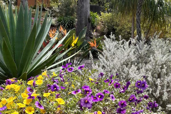 Beaumont Care - Roslyn Lodge