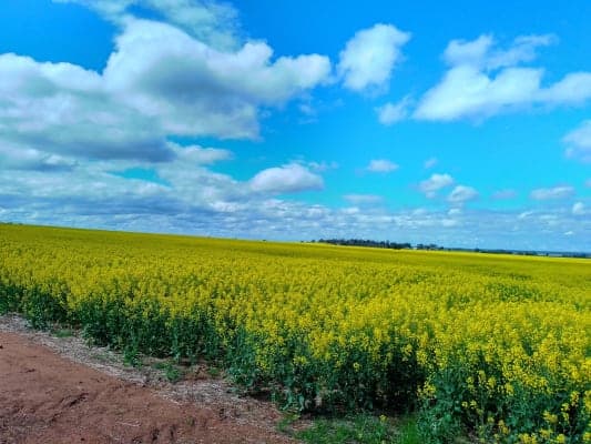 Rochester Nursing Home Annexe