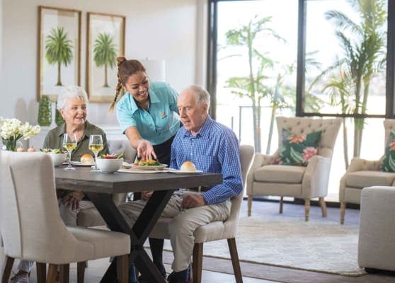 Vacenti - Portofino Hamilton