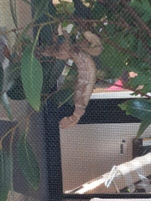 Queen Elizabeth Centre (Steele Haughton Unit)