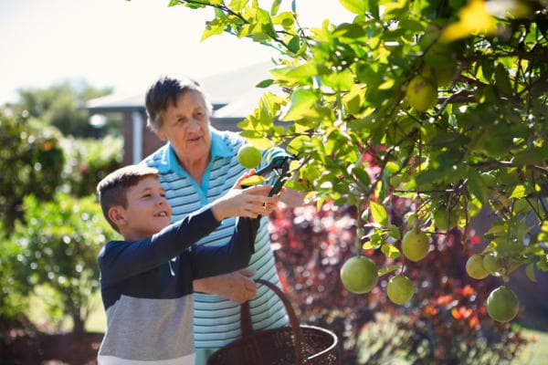 LUTHERAN SERVICES - St Paul's